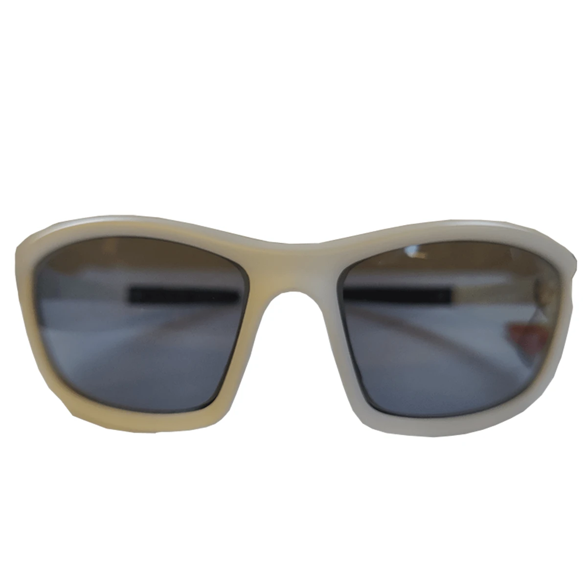 Alpina Taram Skibrille 1 Alpina Taram Skibrille