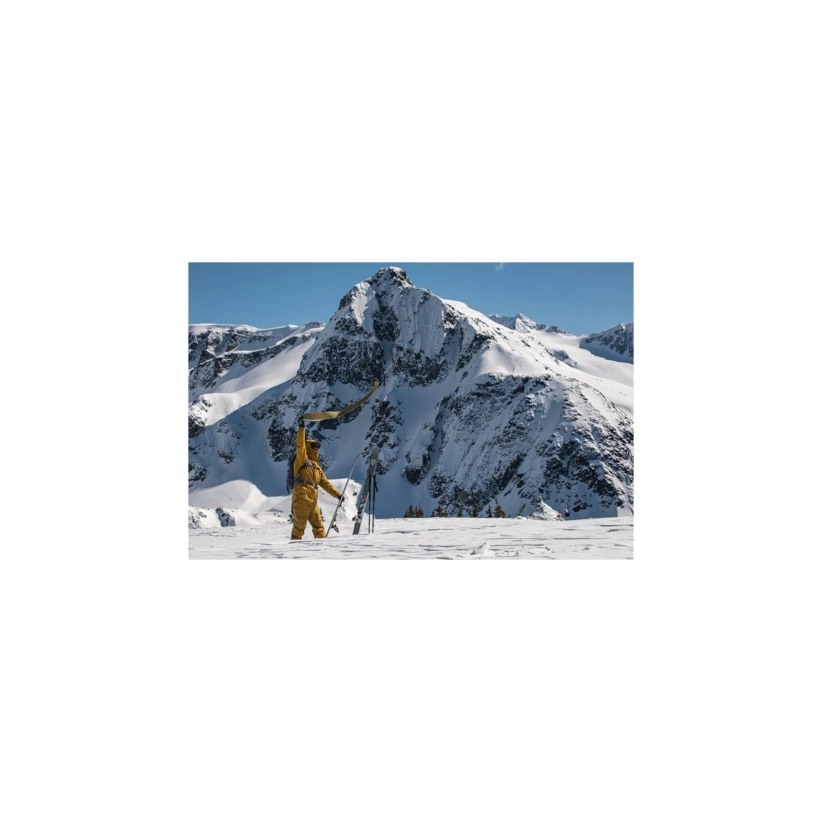 Black Crows Pilus Ova Freebird Feller/Skind 4 Black Crows Pilus Ova Freebird Feller/Skind - Billede 4